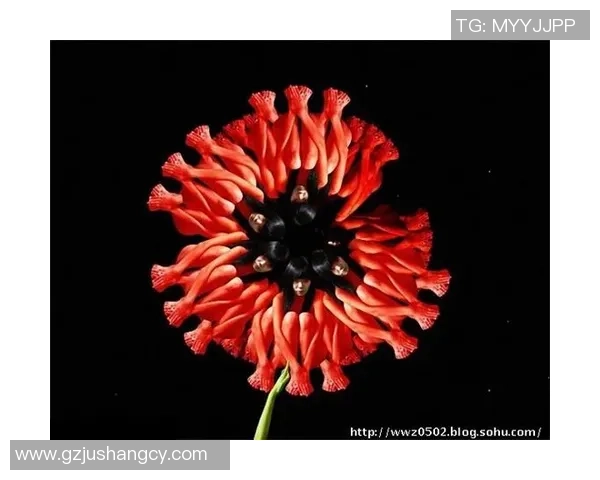 足球界十大蝴蝶球星盘点 他们的飞翔技巧令人叹为观止